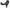 Photo - Unmounted