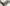 Photo - Unmounted