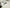 Photo - Unmounted