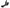 Photo - Unmounted