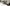 Photo - Unmounted