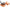 Photo - Unmounted