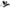 Photo - Unmounted