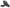 Photo - Unmounted