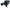 Photo - Unmounted