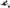 Photo - Unmounted