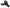 Photo - Unmounted