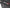 Photo - Unmounted