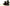 Photo - Unmounted