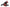 Photo - Unmounted