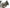 Photo - Unmounted