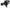 Photo - Unmounted
