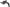 Photo - Unmounted