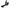 Photo - Unmounted